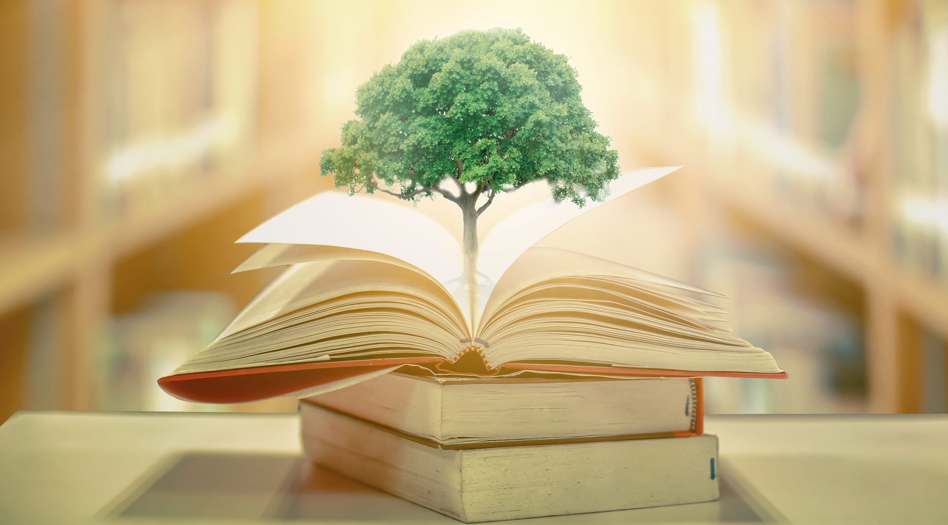 Why Measure Un-Sustainable Education? By Janna Goebel, Gustavo E. Fischman and Iveta Silova