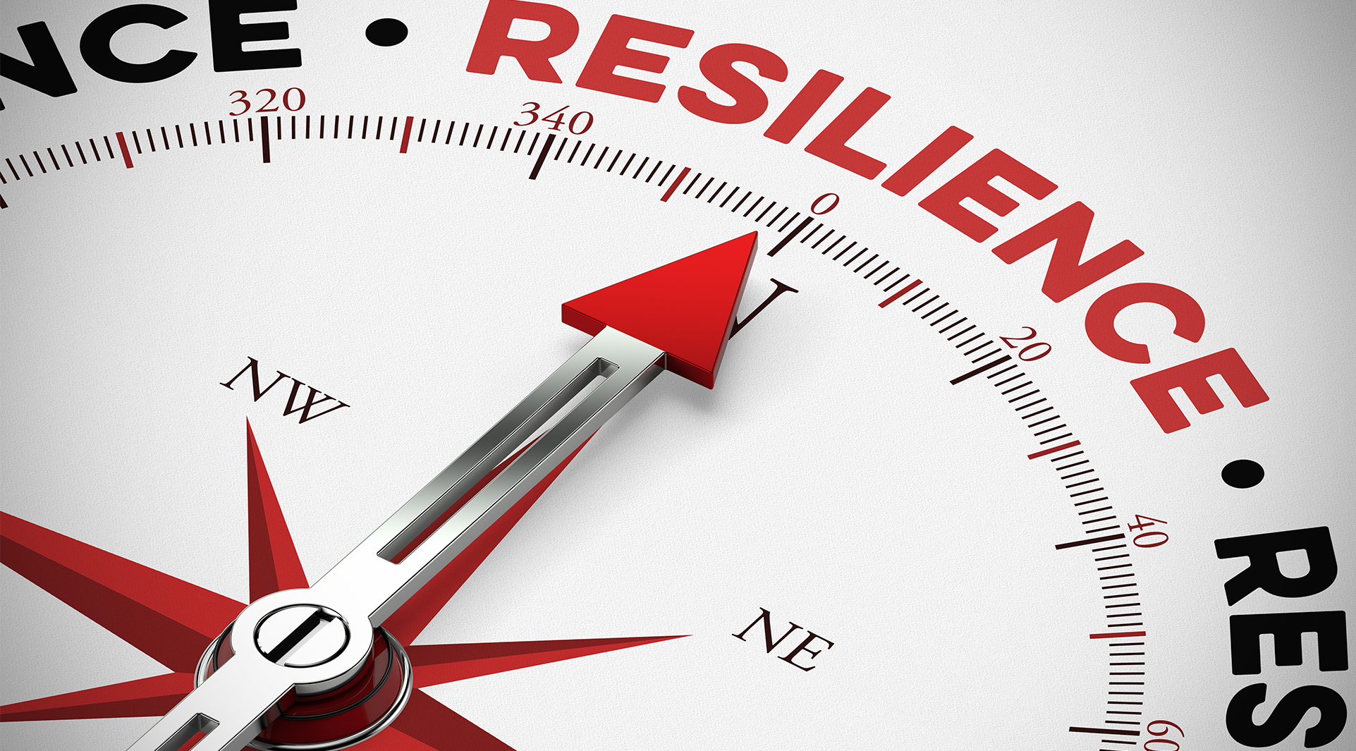 Student resilience during the COVID-19 crisis